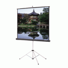 Rental of 6' Tripod Screen, per day
